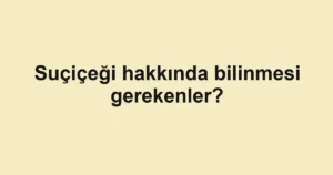 haber-gorseli-1790599562238